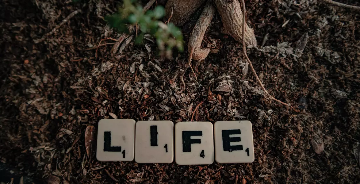 Stop Worrying and Start Living