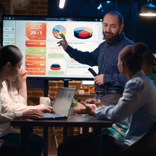 Digital Marketing Consultant
